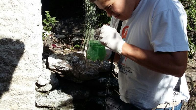 Intenso operativo estival para prevenir proliferación de dengue, zika y chikungunya