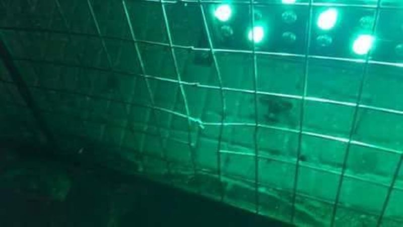 Rompieron rejas de la iluminación del Cristo