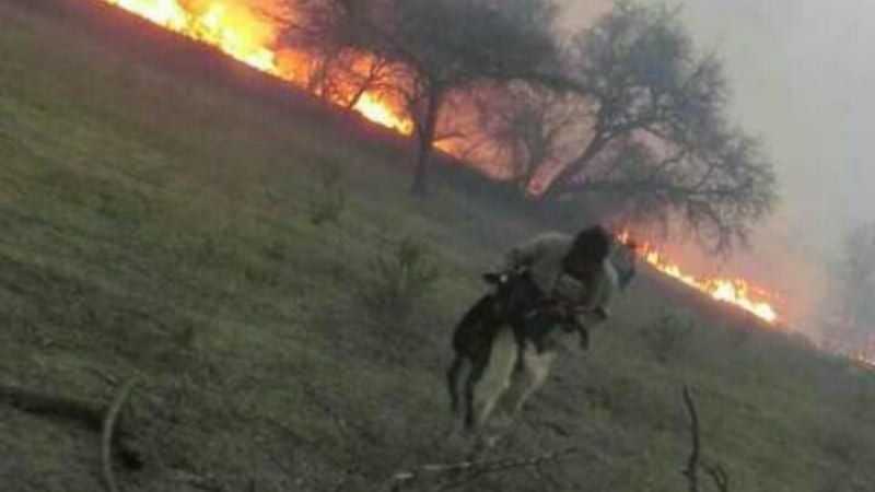 Por importante incendio, salió de servicio línea de media tensión