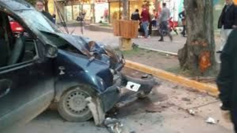 Chocó contra un árbol