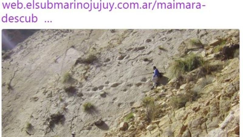 Encuentran en la Quebrada de Humahuaca huellas de dinosaurios