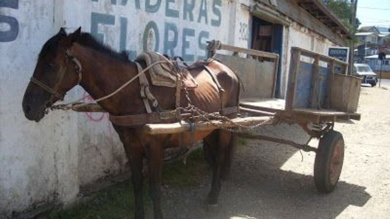 Secuestran una carreta con un caballo