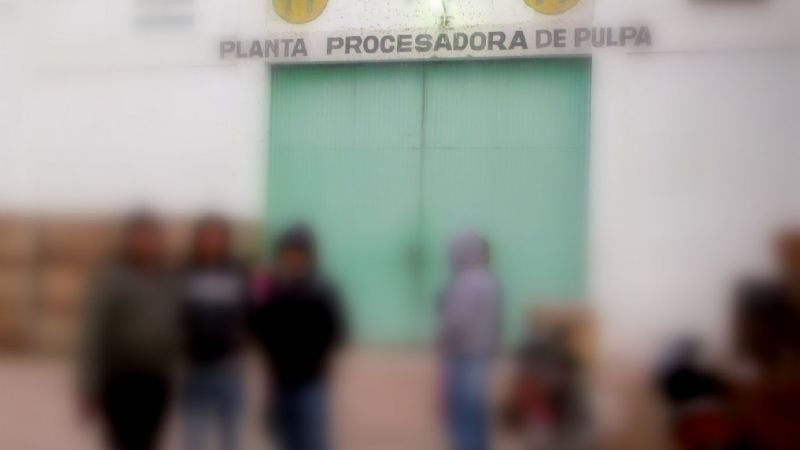 Desocupados reclaman por La Pulpadora