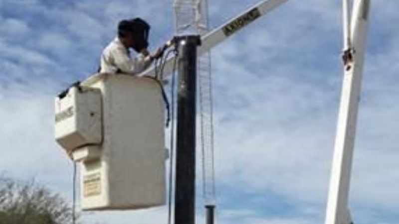 Pasantías estudiantiles