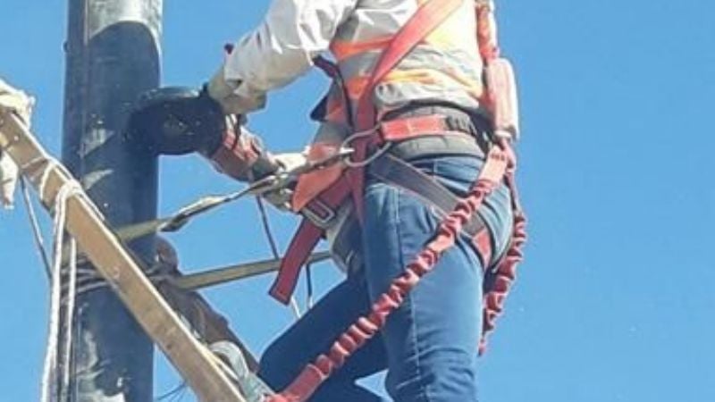 Pasantías estudiantiles