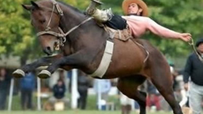 Doma y folclore en Andalgalá