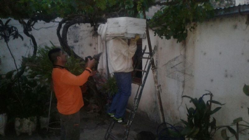 Defensa Civil retiró enjambres de abejas
