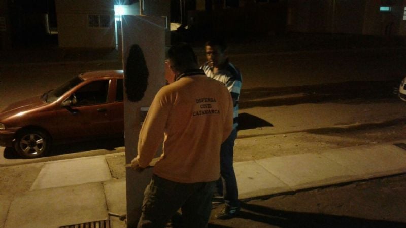 Defensa Civil retiró enjambres de abejas