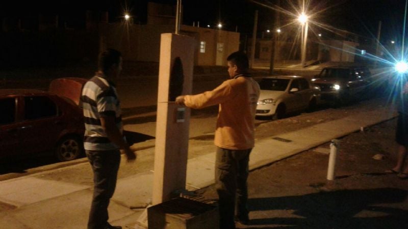 Defensa Civil retiró enjambres de abejas