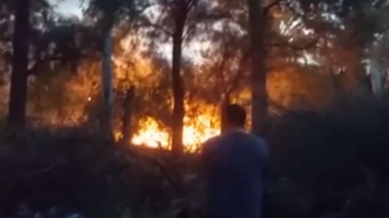 Voraz incendio en La Tercena