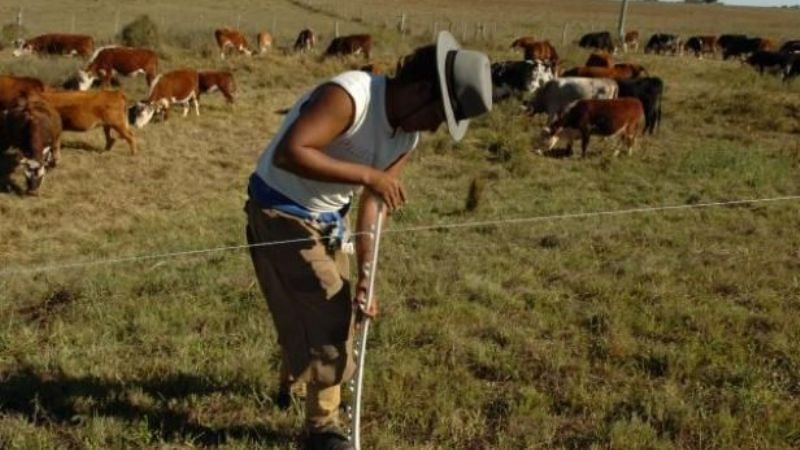 Se concretó el acuerdo salarial para los empleados rurales