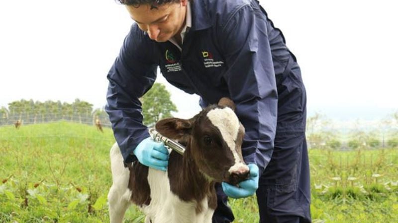 Dictan capacitaciones sobre Sanidad Animal y Forraje