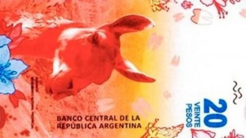 Llega el nuevo billete de $ 20: tiene un guanaco