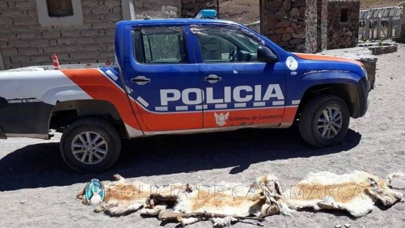 Aprehenden a dos jóvenes con un arma de fuego y cueros de vicuña en Belén