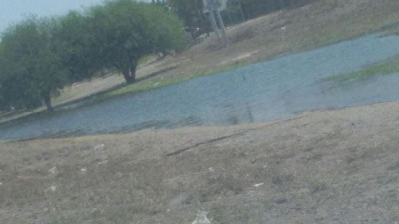 DASI Recreo: los problemas y las soluciones