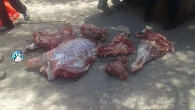 Llevaba 50 kilos de carne en el baúl del auto
