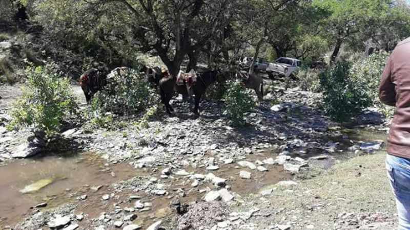 Tradicional celebración en El Alto del Rosario