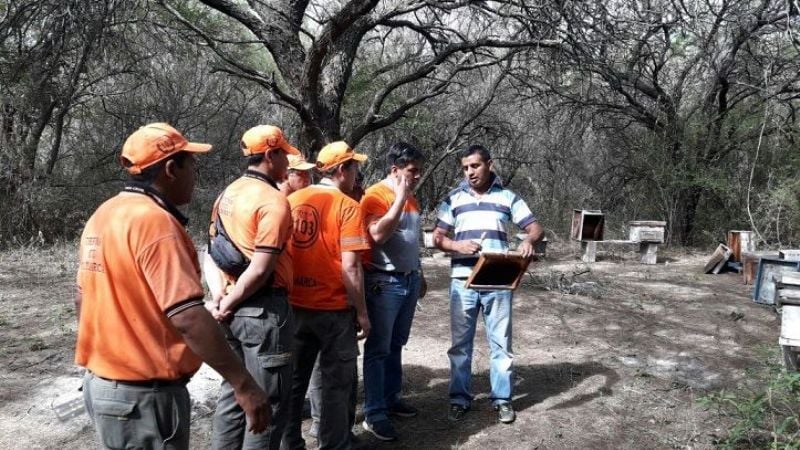 Defensa Civil coordinó acciones con apicultor para el cuidado de abejas