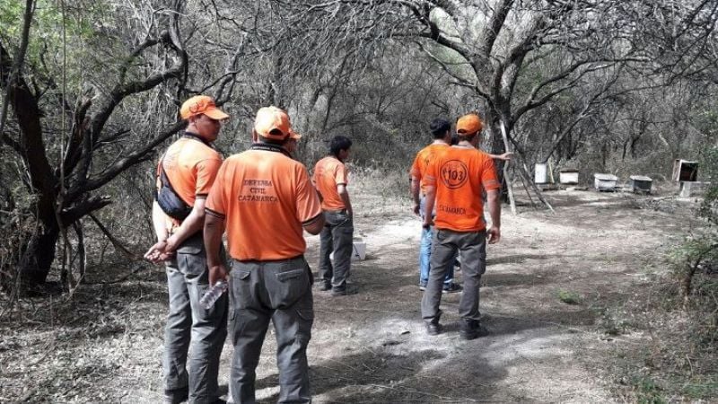 Defensa Civil coordinó acciones con apicultor para el cuidado de abejas