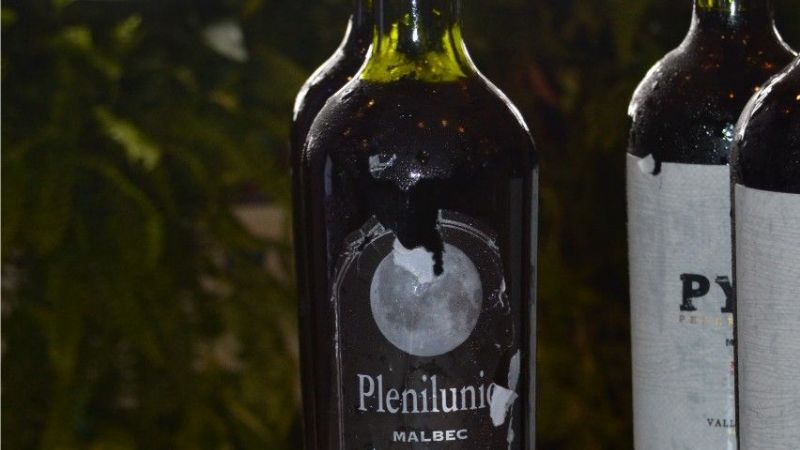 Catamarca luce su autenticidad en la Feria Internacional de Turismo