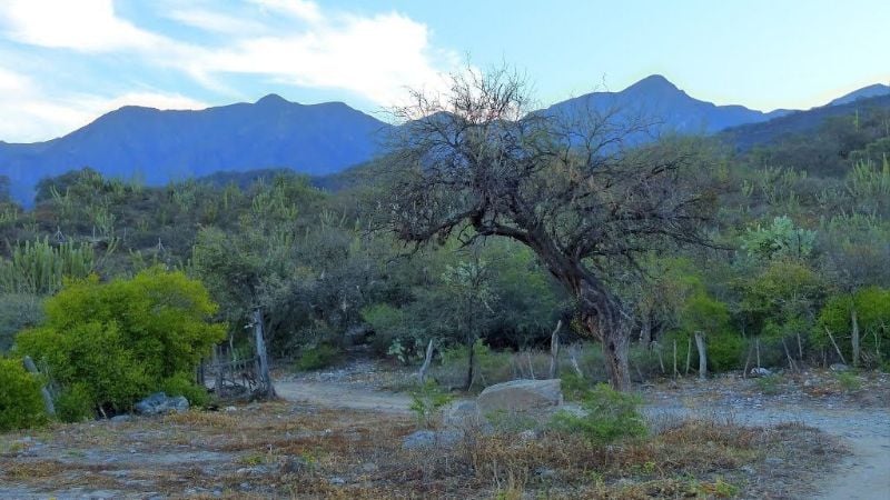 Determinan que el cuerpo encontrado sin vida es de un hombre