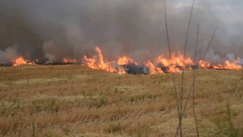 Incendio de pastizales en Valle Viejo