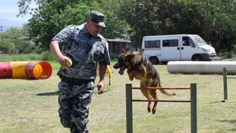 Finalizó Curso de Capacitación de la División Canes