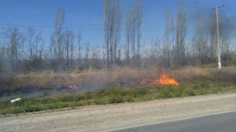 Incendio en la ruta 38