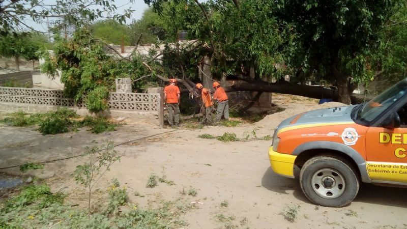 Trabajos tras el paso del arrasador “Pampero Sur”