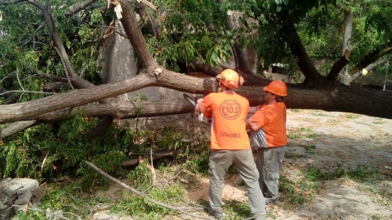 Trabajos tras el paso del arrasador “Pampero Sur”