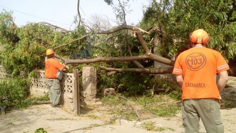 Trabajos tras el paso del arrasador “Pampero Sur”