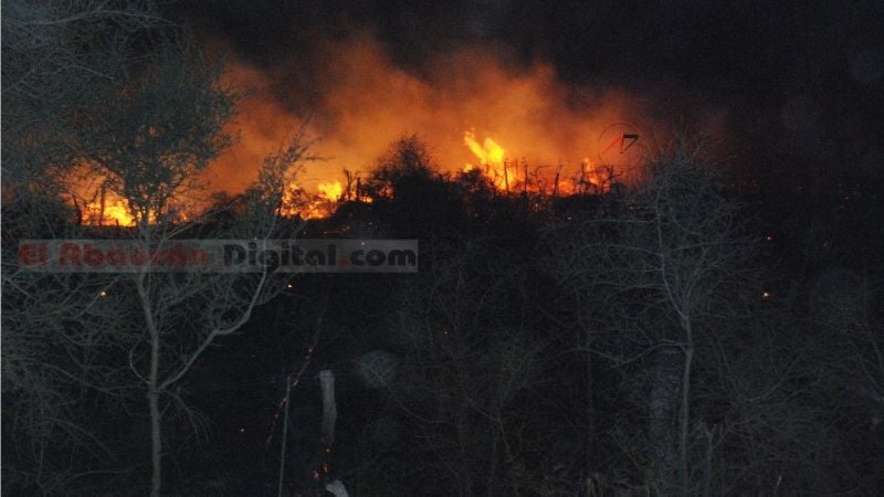 Incendio y viento zonda dejó sin viñedos a Fiambalá