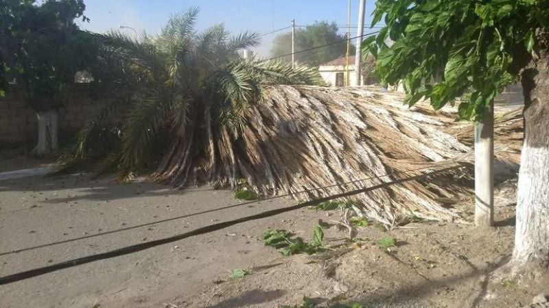 Más fotos del paso del Pampero por Chumbicha