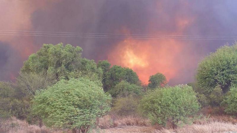 Más fotos del paso del Pampero por Chumbicha