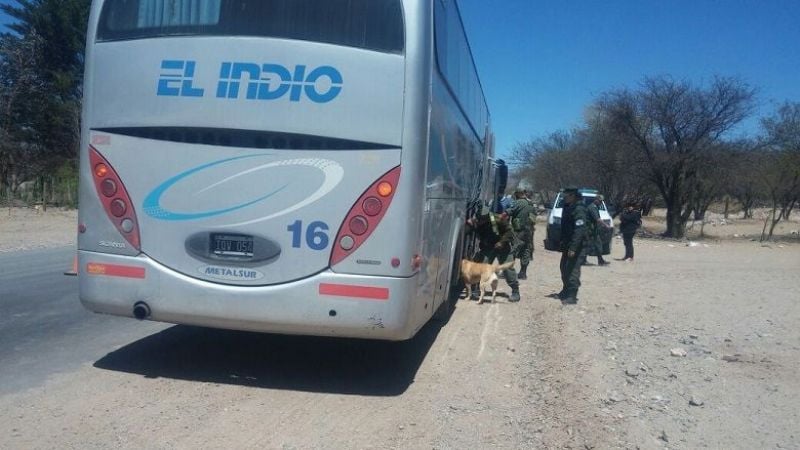 Detectan marihuana en una encomienda