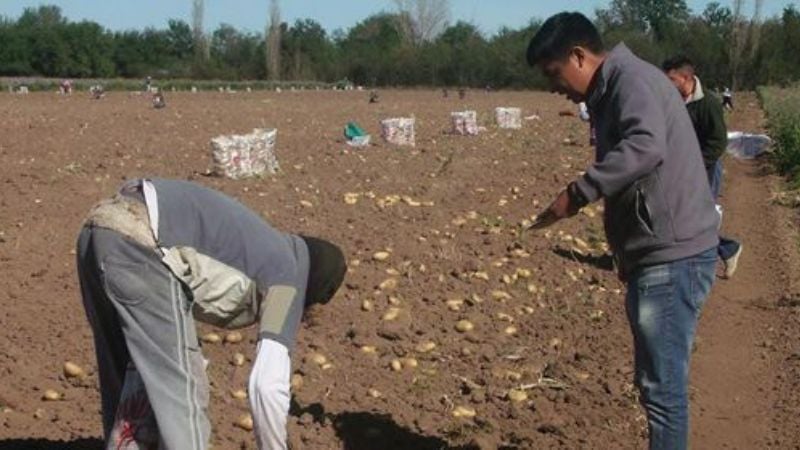 Empleados ruralres, con aumento