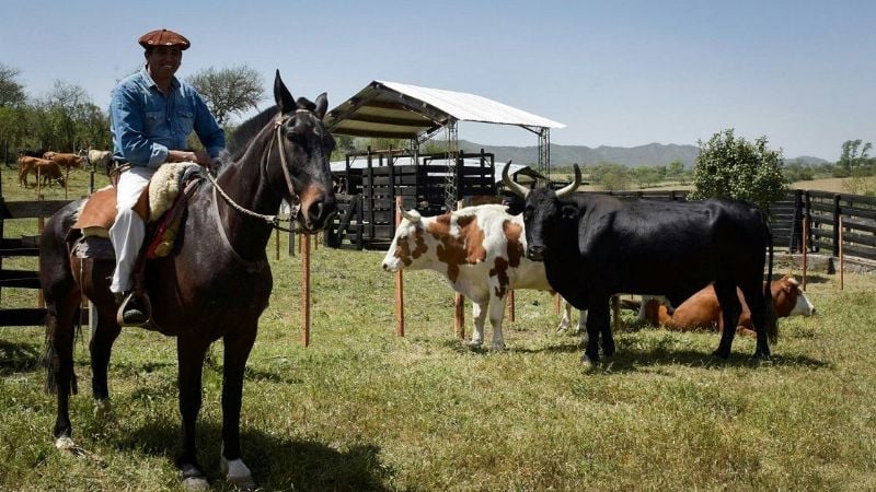 Cordero en inauguraciones de obras en Paclín