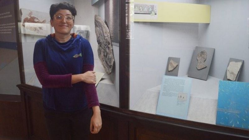 Descubren un pez de 240 millones de años de antigüedad