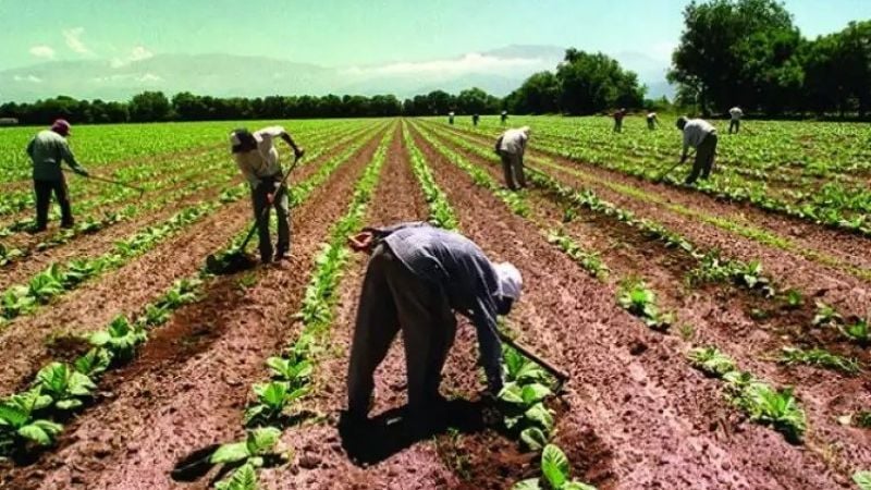 8 de octubre: Día del Trabajador Rural