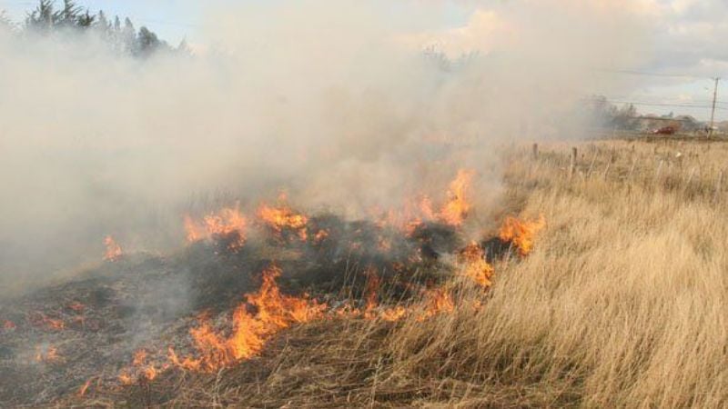 Incendio de pastizales en el norte de la Capital