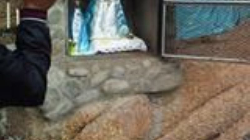 Peregrinación a Virgen de La Toma