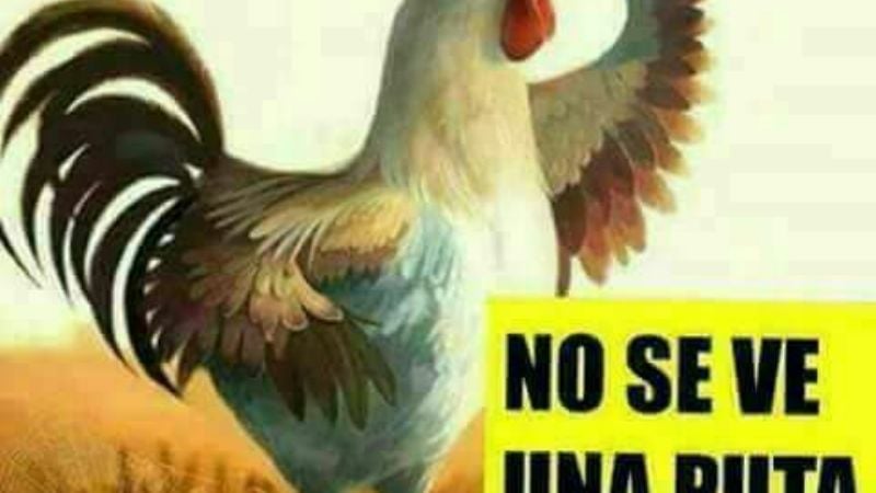 River humillado  con las cargadas en las redes sociales