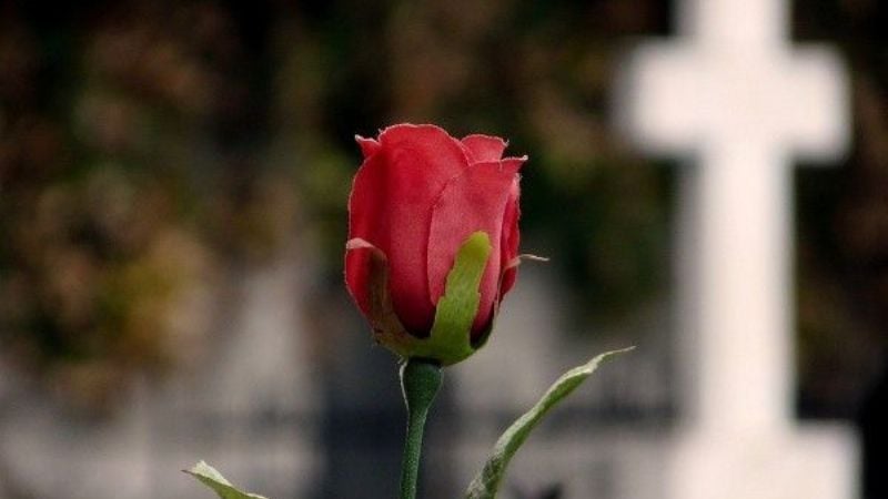 El sentido de la conmemoración del Día de los Fieles Difuntos