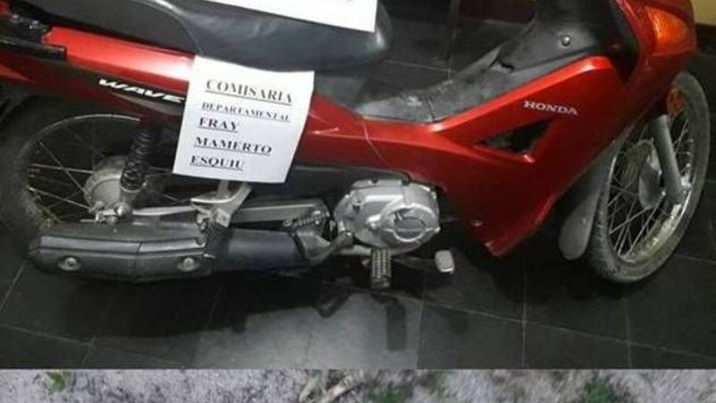 Los sorprendieron faenando animales vacunos en Ambato