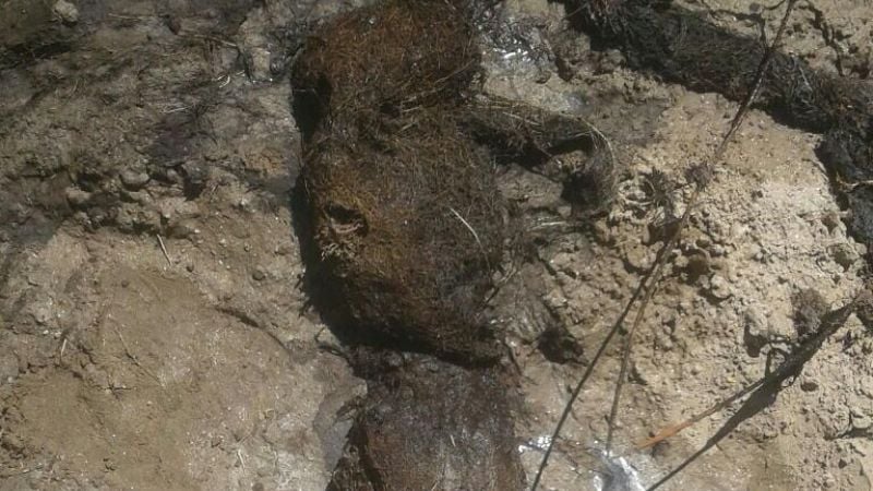 Informan corte de agua programado en Recreo