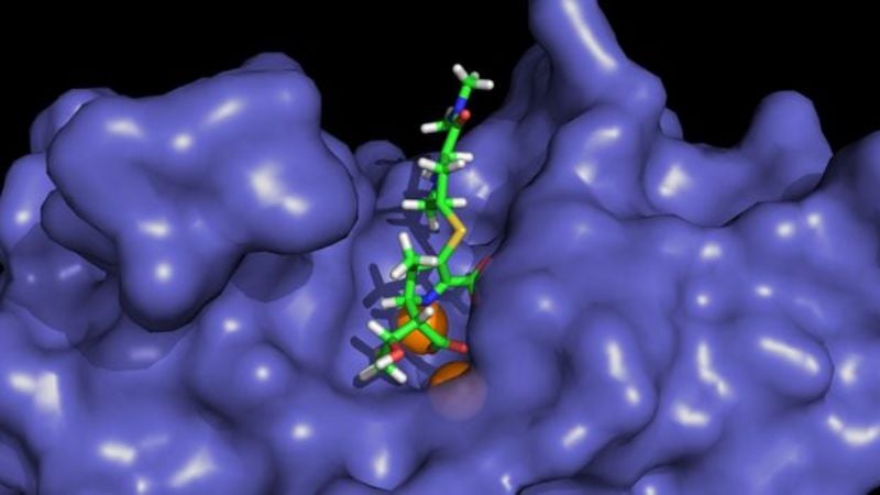 El talón de Aquiles de las superbacterias