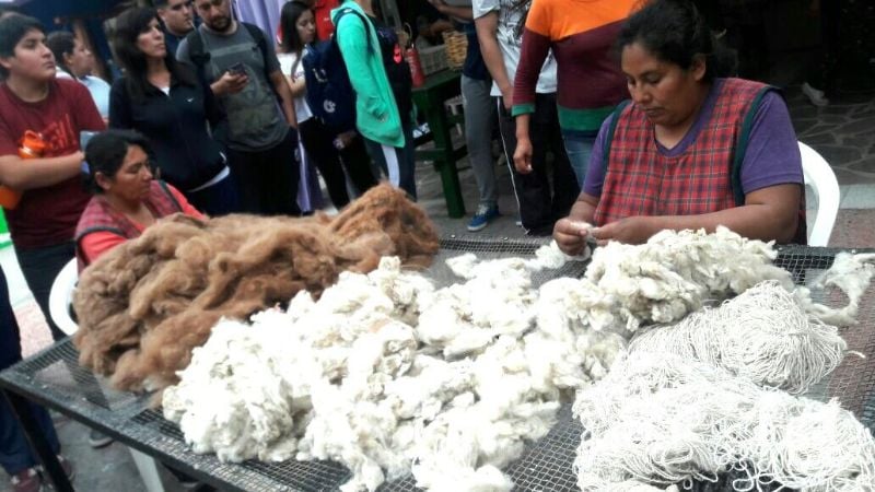 Alumnos de Recreo viajaron al Shincal y a las Ruinas de Los Quilmes