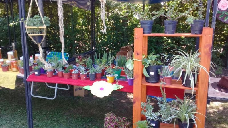 Feria artesanal en Guayamba