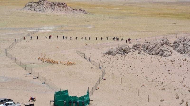 Con éxito, finalizó el chaku en la reserva de Laguna Blanca