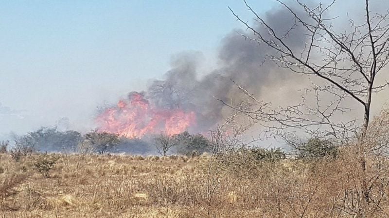 Incendio de pastizales en Santa Rosa
